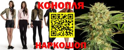 Альфа ПВП Моздок