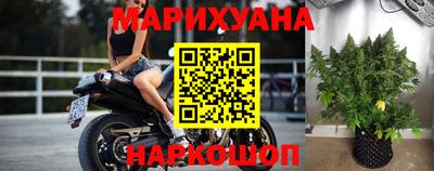 Альфа ПВП Моздок