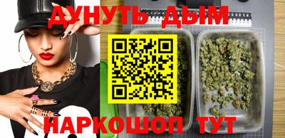 Альфа ПВП Моздок