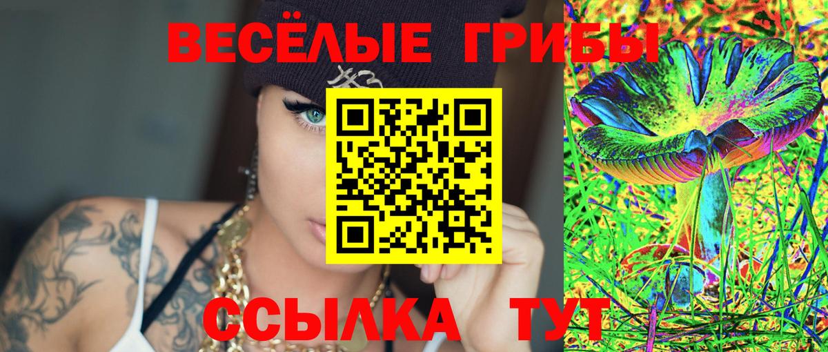 Ярцево  Псилоцибиновые грибы Psilocybine cubensis  Вход с VPN 